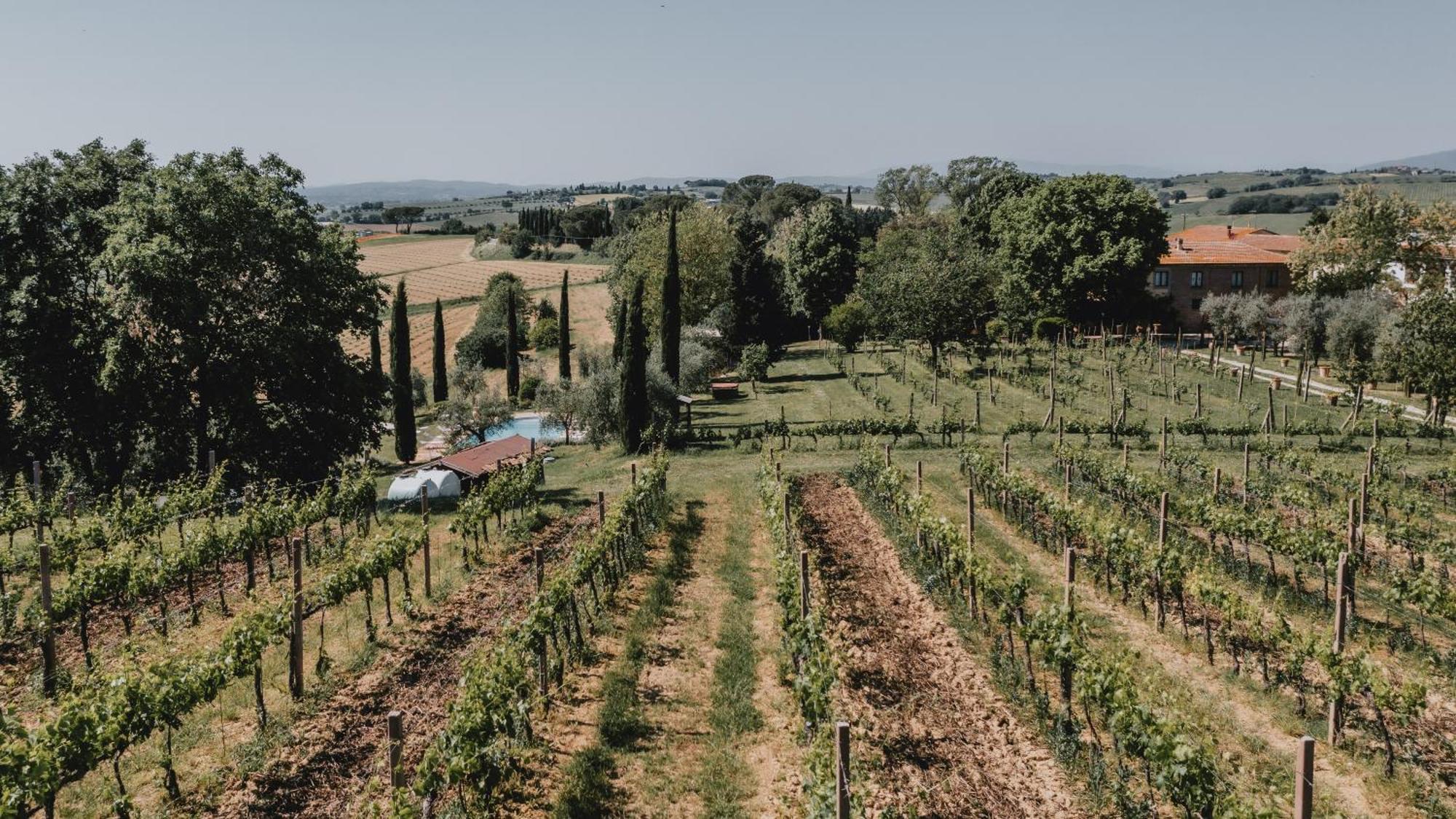 Podere Biagio Valiano Esterno foto