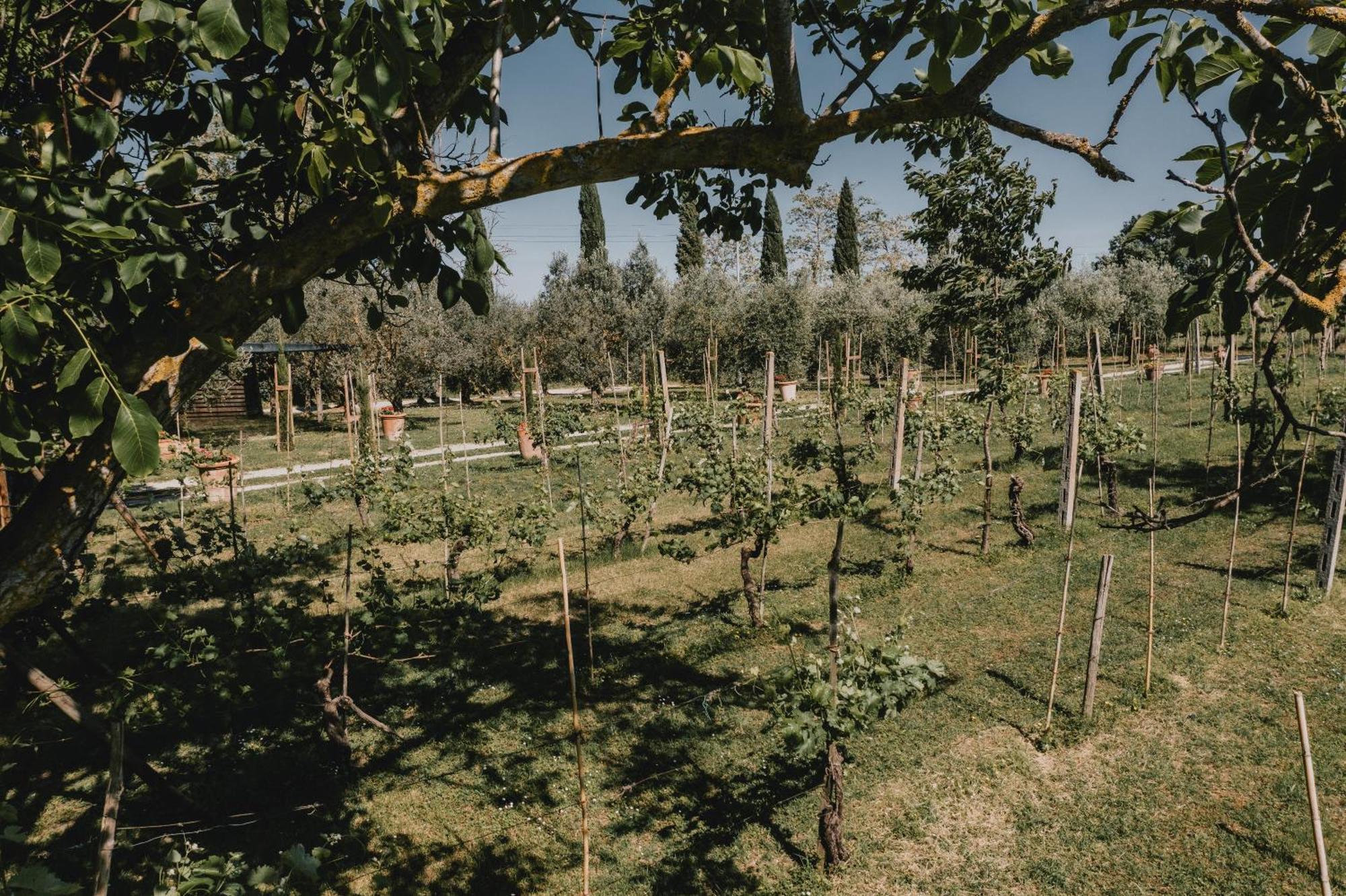 Podere Biagio Valiano Esterno foto