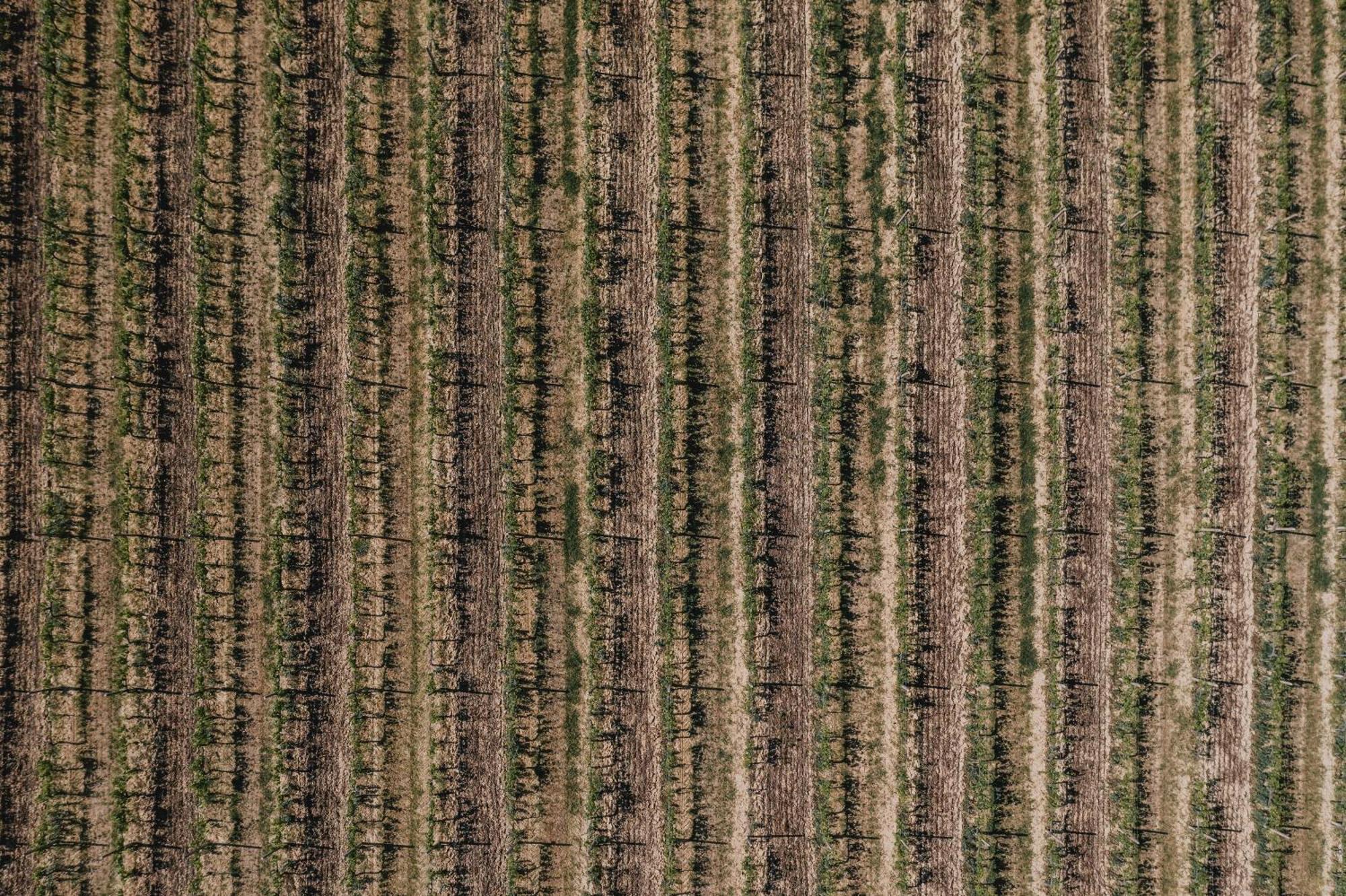 Podere Biagio Valiano Esterno foto