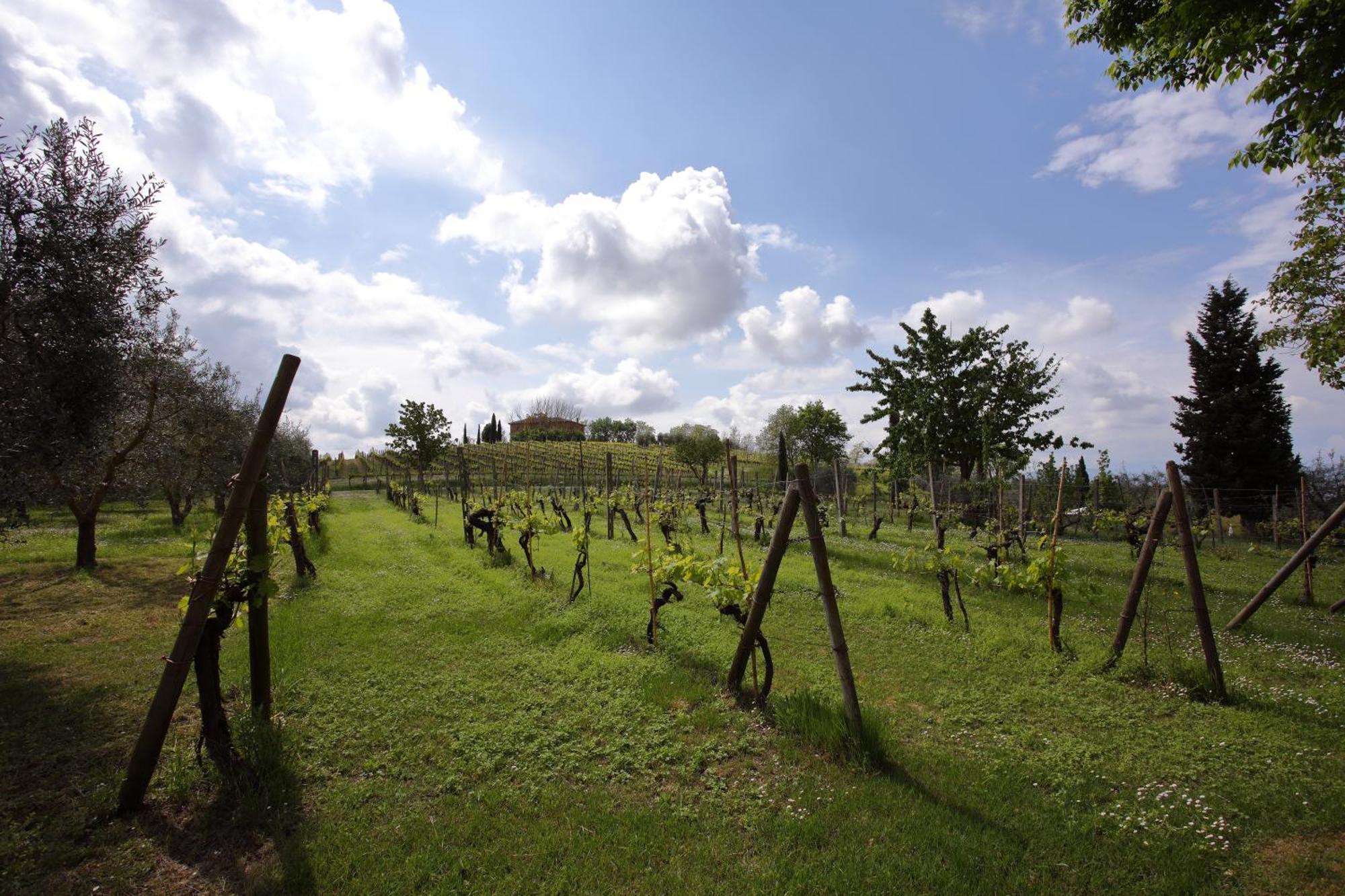 Podere Biagio Valiano Esterno foto